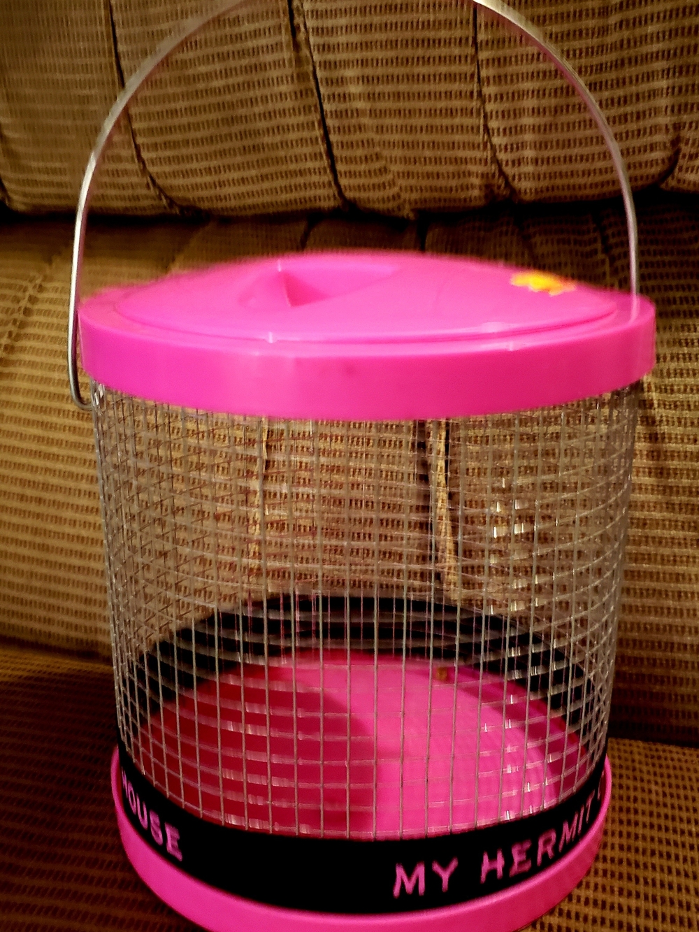 Pink Small Pet Temporary Habitat Cage - My Hermit House